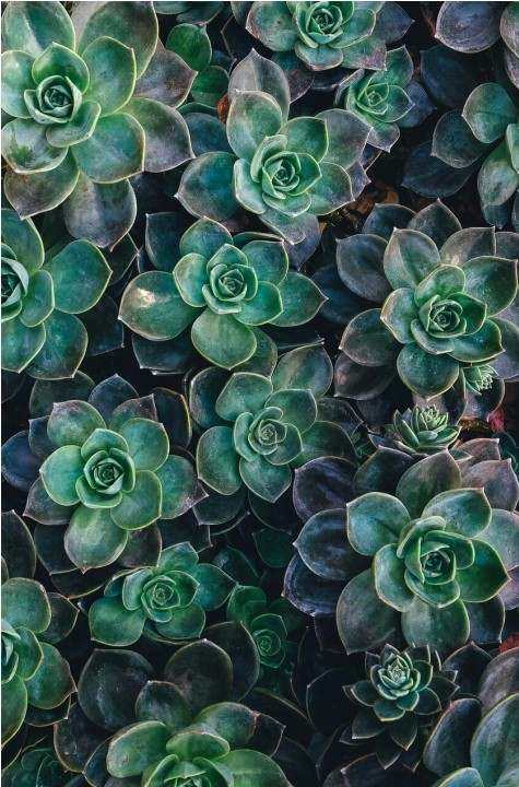Mood board